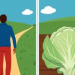 Ahead vs A Head: Difference, Meaning, and Real Usage