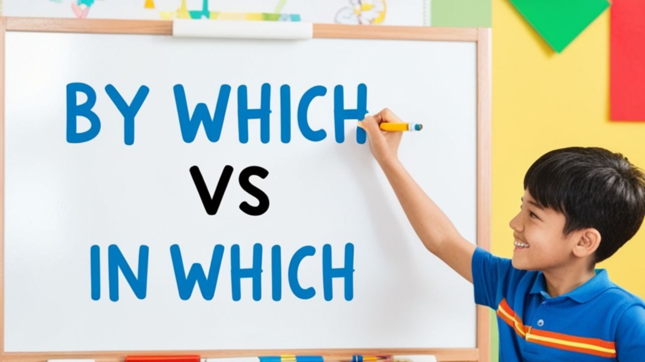 By Which or In Which: Grammar Rules & Easy Examples