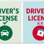 Driver’s License vs Drivers License: What’s Correct?
