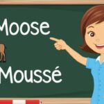 Quick Quiz: Moose or Mousse?