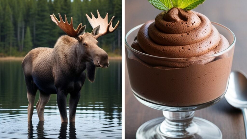 What Is a Mousse?
